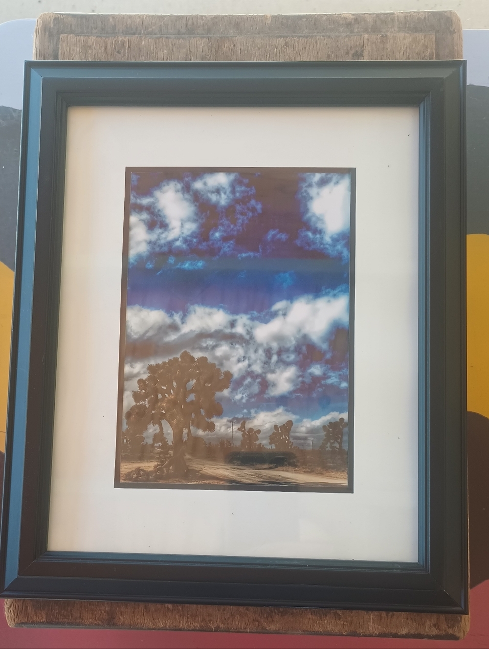 Framed Joshua Tree Photograph